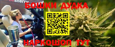 PSILOCYBIN Пенза
