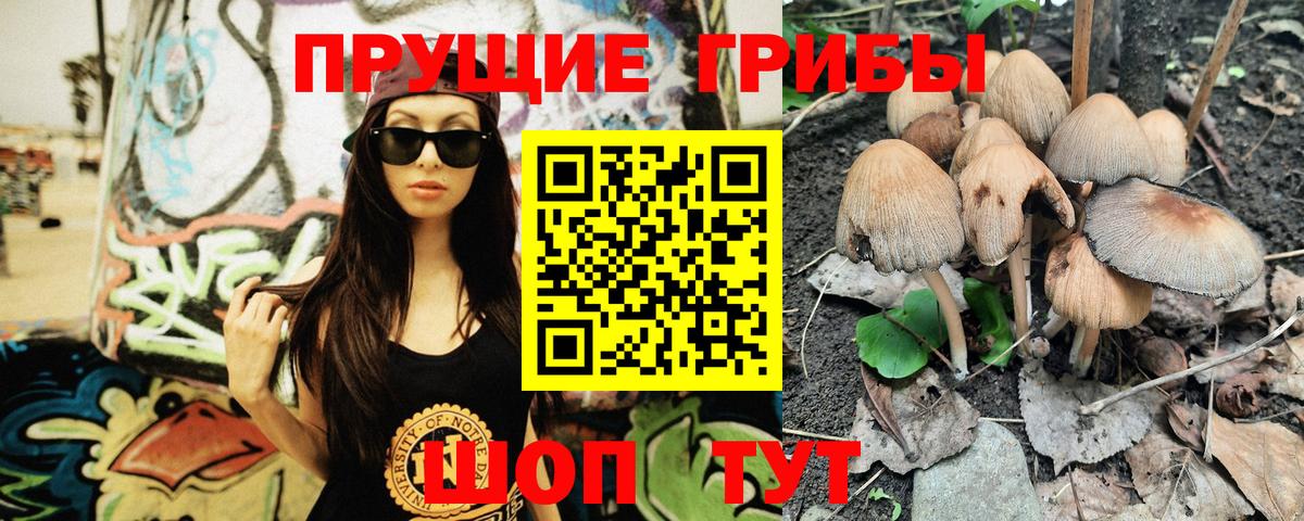 Псилоцибиновые грибы GOLDEN TEACHER Отрадное